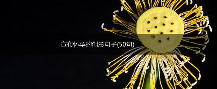 宣布怀孕的创意句子(50句),第1张