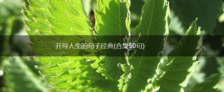 开导人生的句子经典(合集50句),第1张