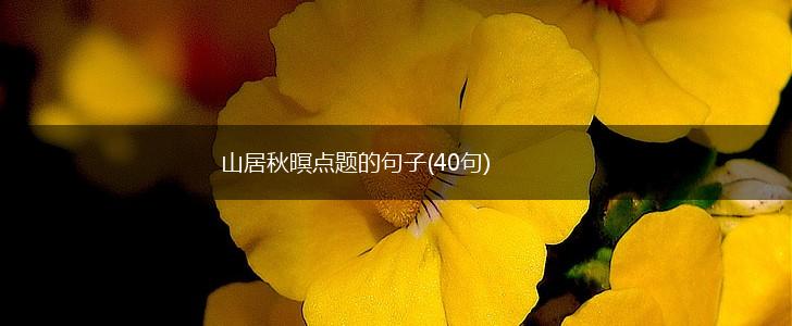 山居秋暝点题的句子(40句),第1张