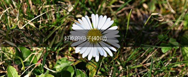 好吃的句子(40句),第1张 好吃的句子(40句),第1张