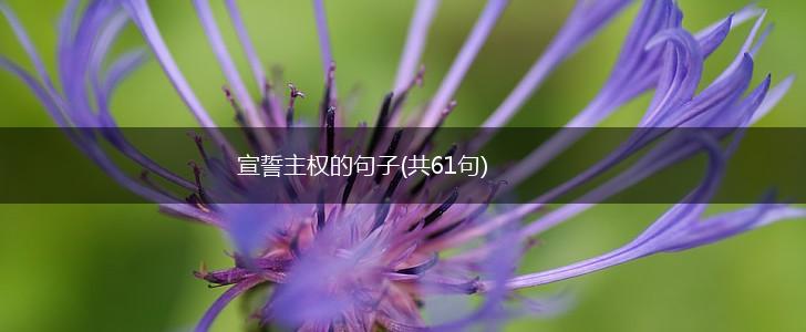 宣誓主权的句子(共61句),第1张