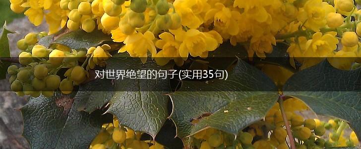 对世界绝望的句子(实用35句),第1张