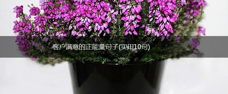 客户满意的正能量句子(实用10句),第1张 客户满意的正能量句子(实用10句),第1张