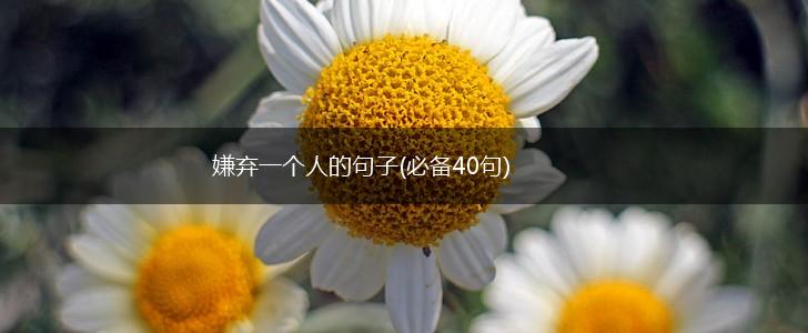 嫌弃一个人的句子(必备40句),第1张
