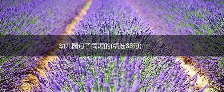 幼儿园句子简短的(精选88句),第1张