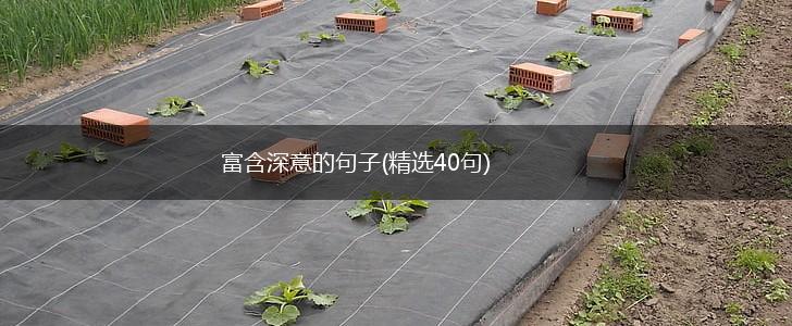 富含深意的句子(精选40句),第1张