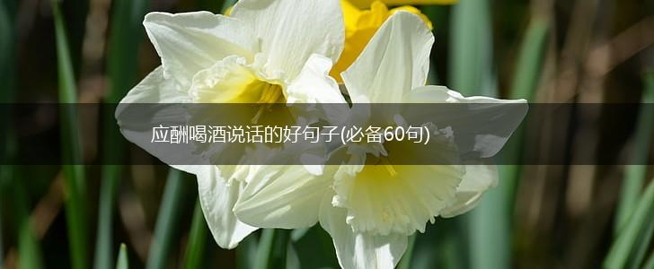应酬喝酒说话的好句子(必备60句),第1张