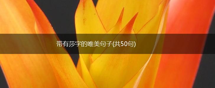 带有莎字的唯美句子(共50句),第1张
