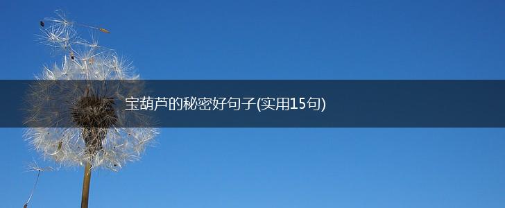 宝葫芦的秘密好句子(实用15句),第1张