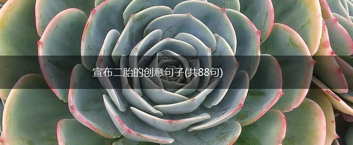 宣布二胎的创意句子(共88句),第1张