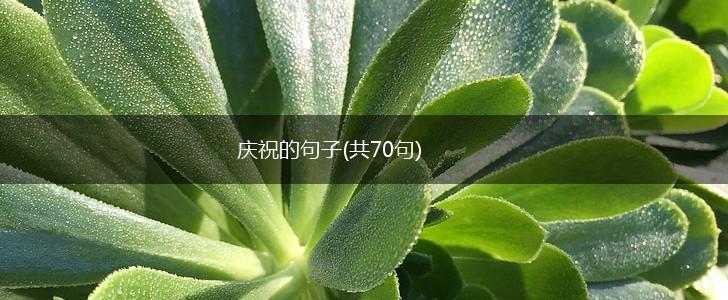 庆祝的句子(共70句),第1张
