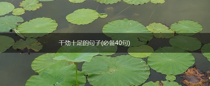 干劲十足的句子(必备40句),第1张