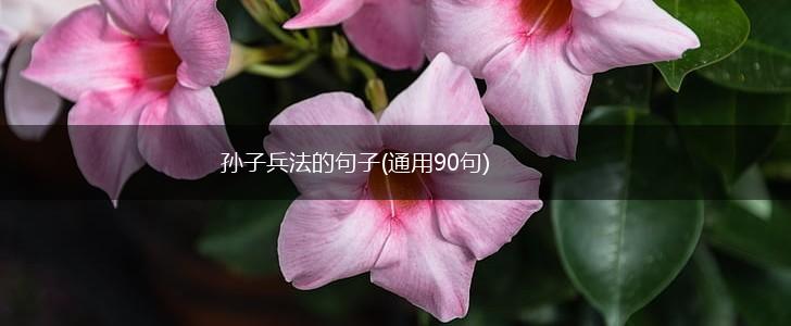 孙子兵法的句子(通用90句),第1张