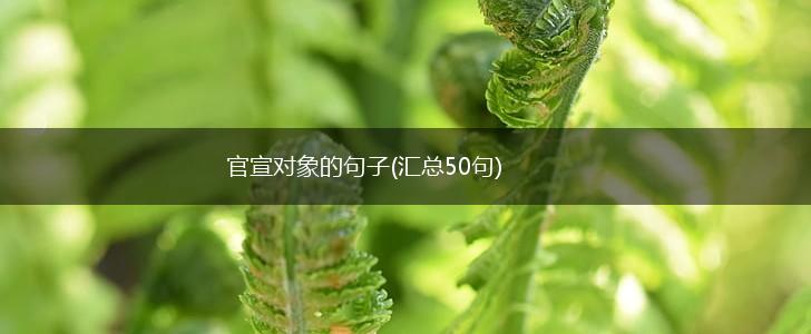 官宣对象的句子(汇总50句),第1张
