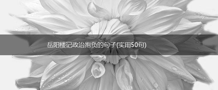 岳阳楼记政治抱负的句子(实用50句),第1张