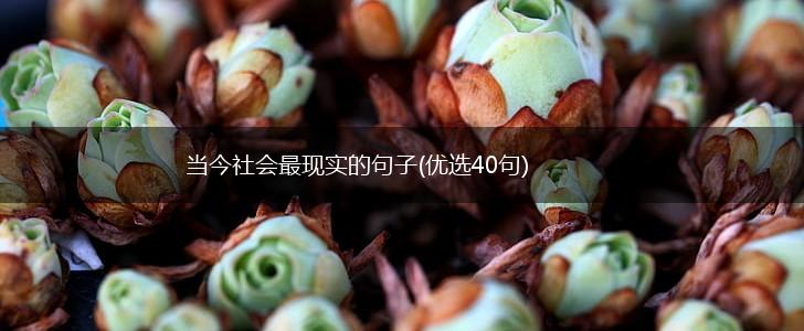 当今社会最现实的句子(优选40句),第1张