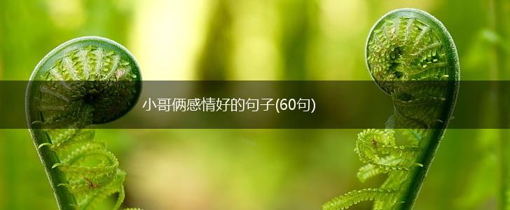 小哥俩感情好的句子(60句),第1张