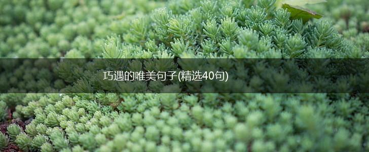 巧遇的唯美句子(精选40句),第1张