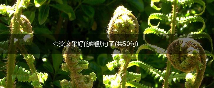 夸奖文采好的幽默句子(共50句),第1张