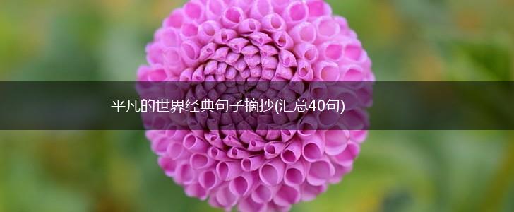 平凡的世界经典句子摘抄(汇总40句),第1张