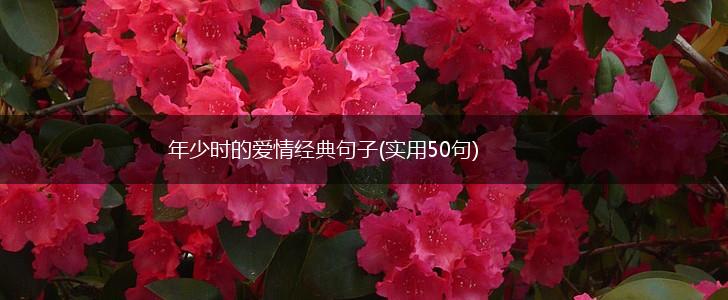年少时的爱情经典句子(实用50句),第1张