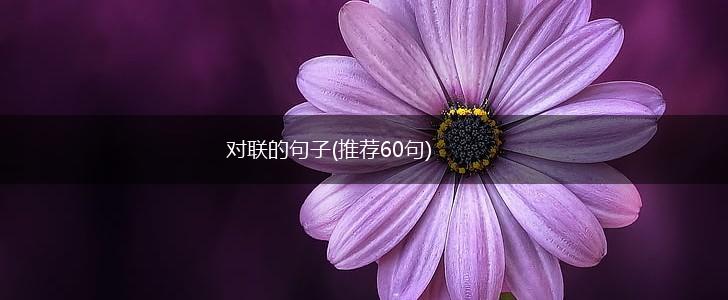 对联的句子(推荐60句),第1张