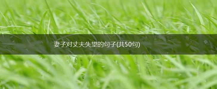 妻子对丈夫失望的句子(共50句),第1张