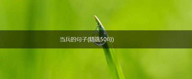 当兵的句子(精选50句),第1张 当兵的句子(精选50句),第1张