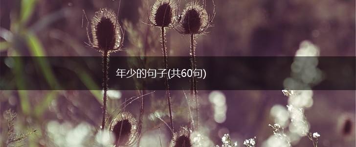 年少的句子(共60句),第1张