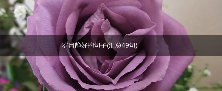 岁月静好的句子(汇总49句),第1张