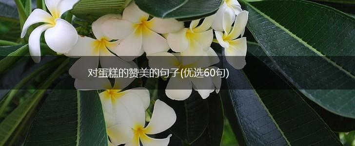 对蛋糕的赞美的句子(优选60句),第1张 对蛋糕的赞美的句子(优选60句),第1张
