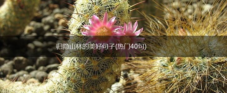 归隐山林的美好句子(热门40句),第1张