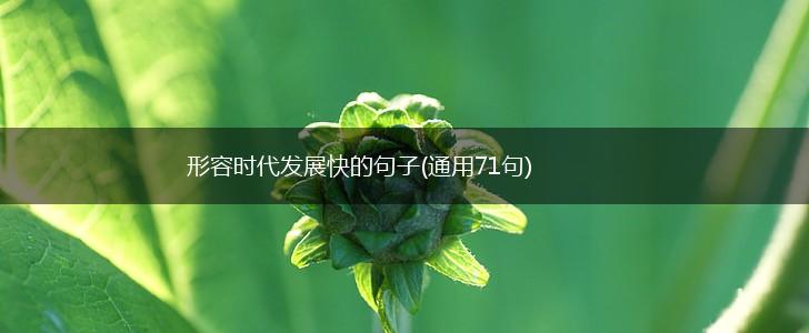 形容时代发展快的句子(通用71句),第1张