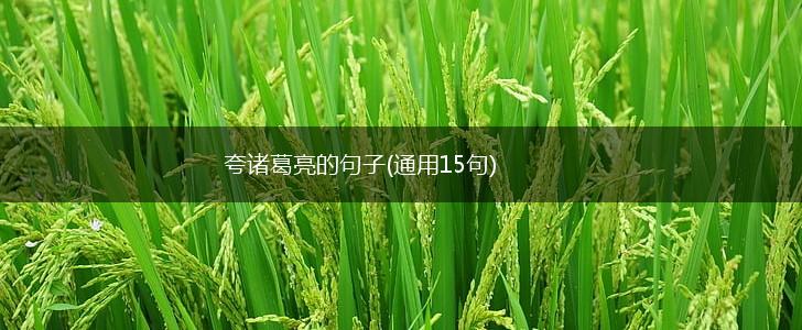 夸诸葛亮的句子(通用15句),第1张