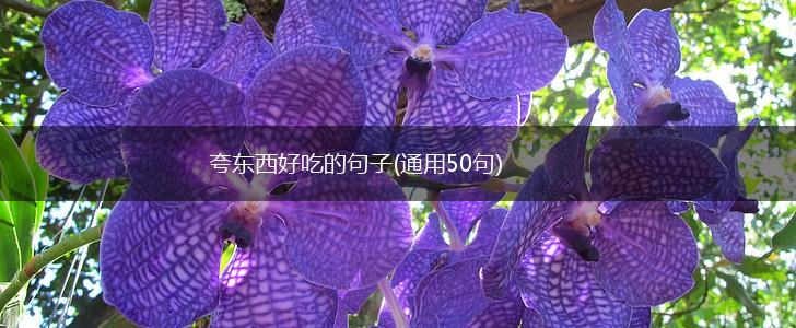 夸东西好吃的句子(通用50句),第1张