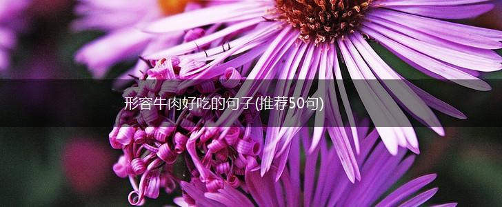 形容牛肉好吃的句子(推荐50句),第1张