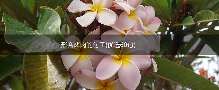 形容烤肉的句子(优选60句),第1张