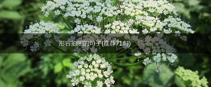 形容拍照的句子(推荐71句),第1张