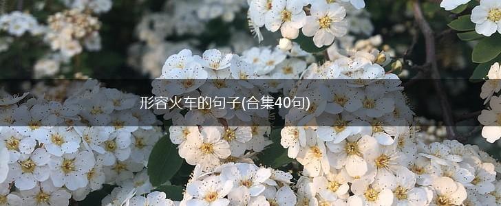 形容火车的句子(合集40句),第1张