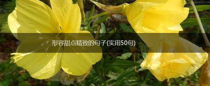 形容甜点精致的句子(实用50句),第1张