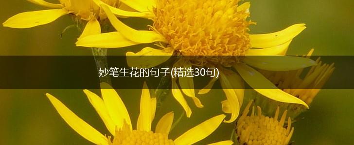 妙笔生花的句子(精选30句),第1张 妙笔生花的句子(精选30句),第1张