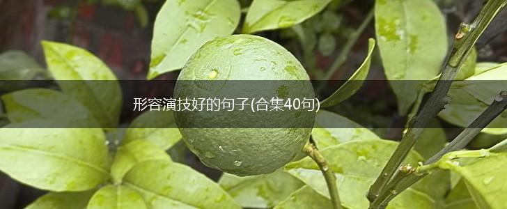 形容演技好的句子(合集40句),第1张