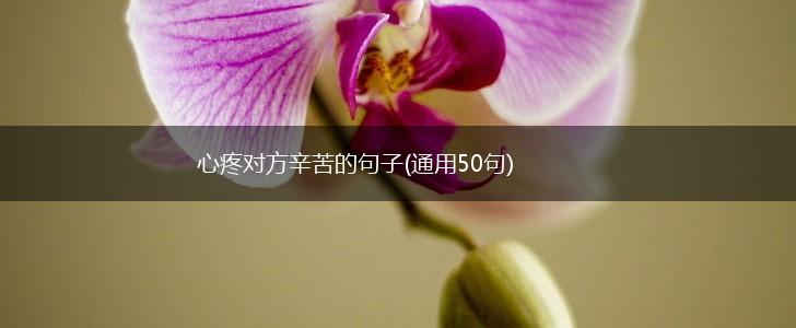 心疼对方辛苦的句子(通用50句),第1张