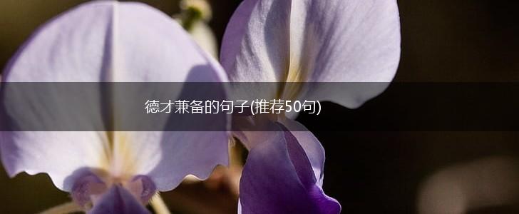 德才兼备的句子(推荐50句),第1张