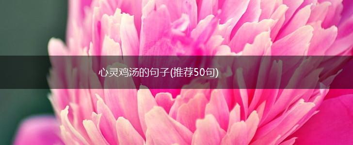 心灵鸡汤的句子(推荐50句),第1张