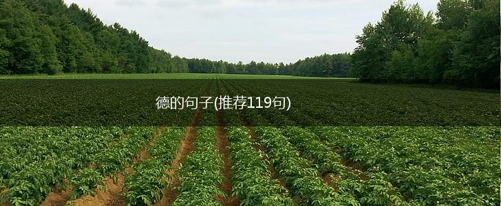 德的句子(推荐119句),第1张