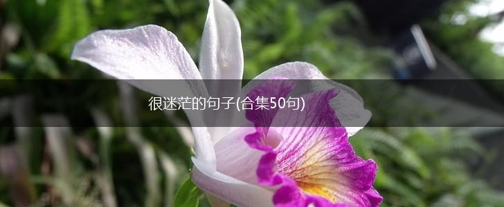 很迷茫的句子(合集50句),第1张