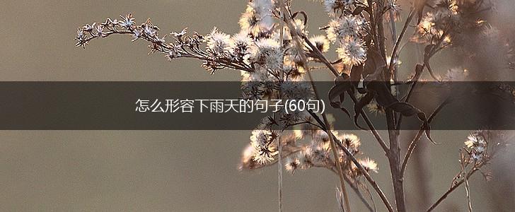 怎么形容下雨天的句子(60句),第1张