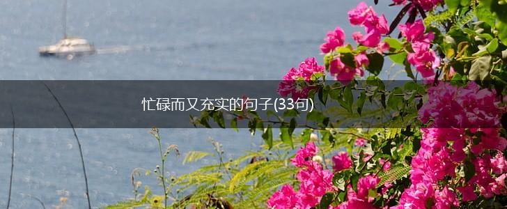 忙碌而又充实的句子(33句),第1张 忙碌而又充实的句子(33句),第1张