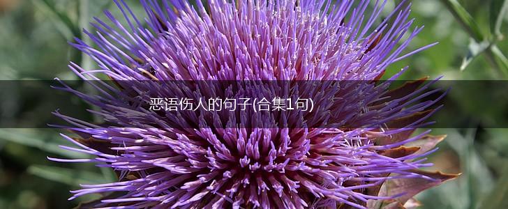 恶语伤人的句子(合集1句),第1张
